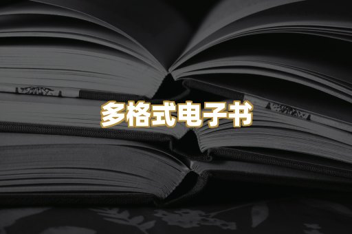多格式电子书